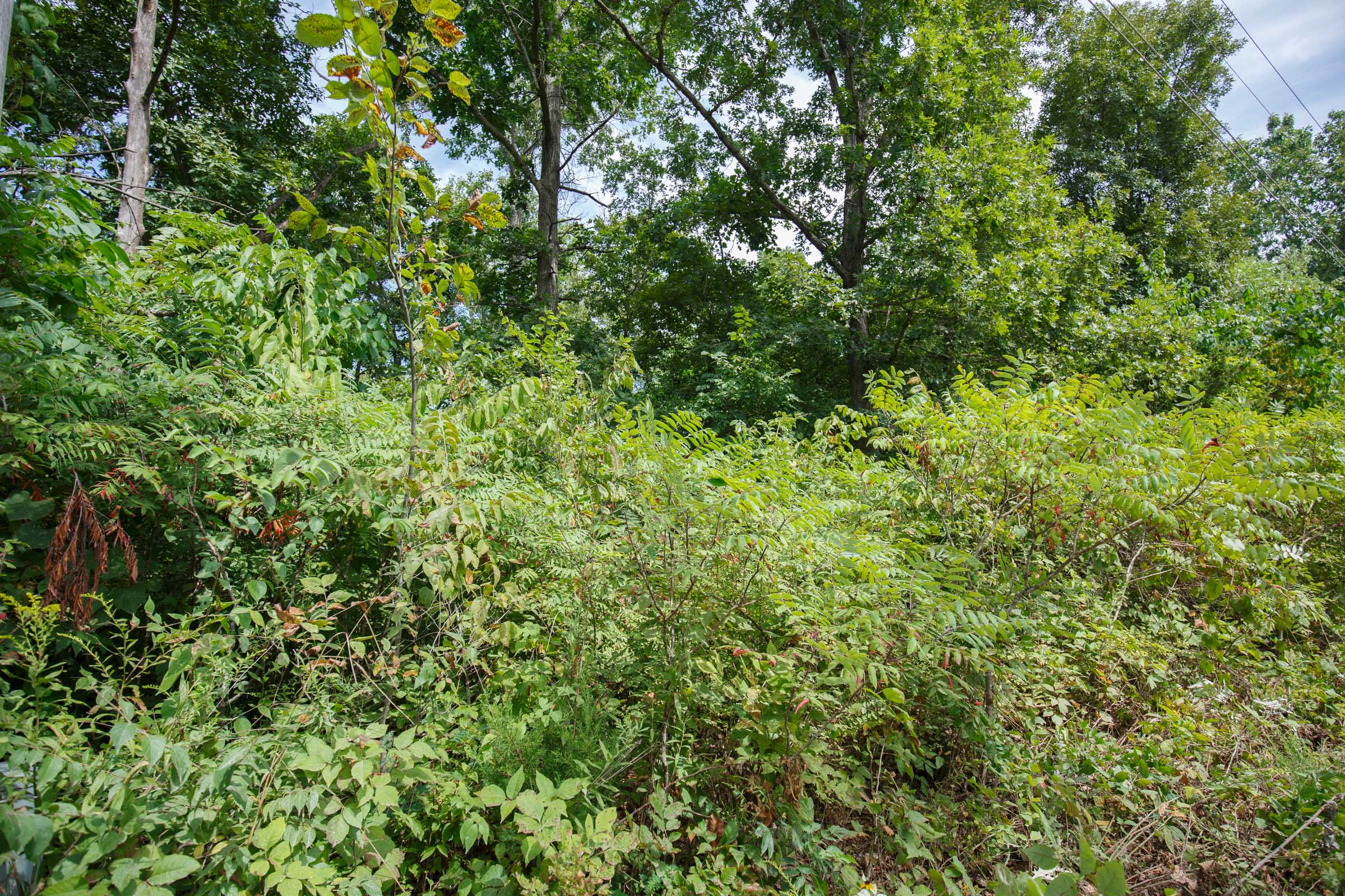 Tract 227 at Springlake in Miller County, Missouri