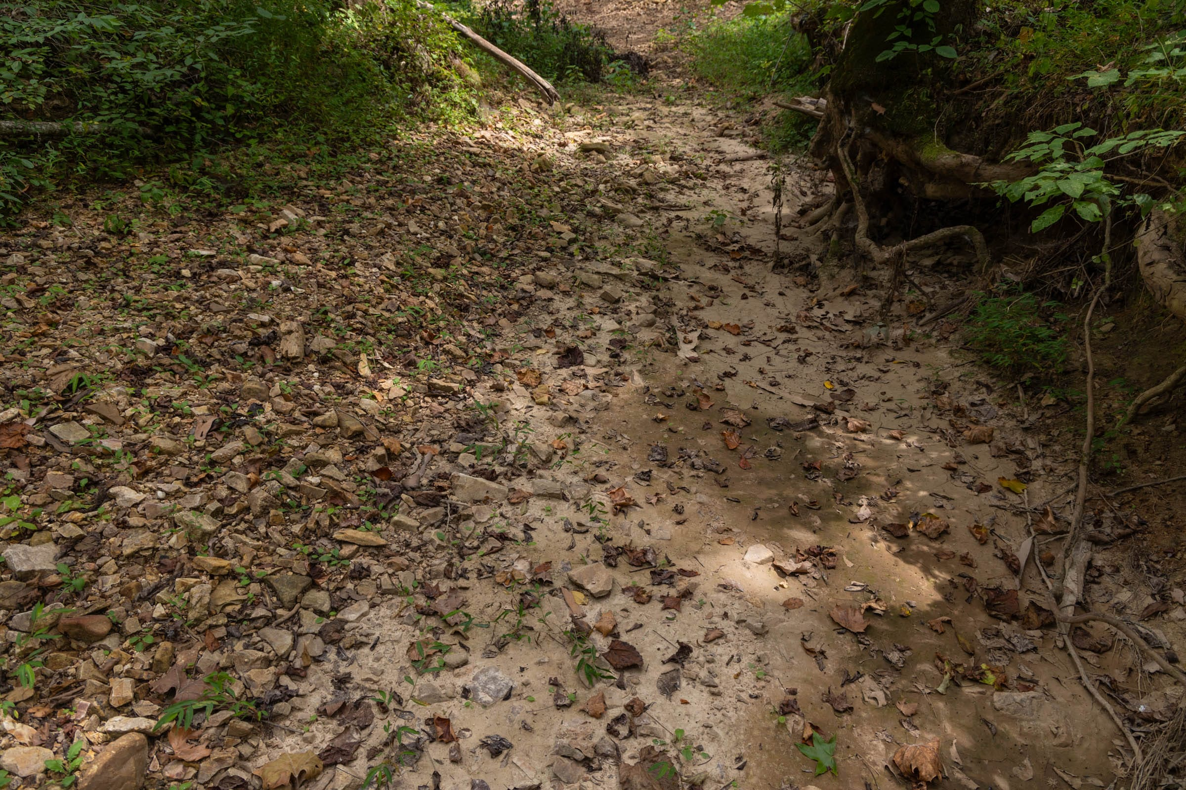 Tract 102 at Big White Oak in Perry County, Tennessee
