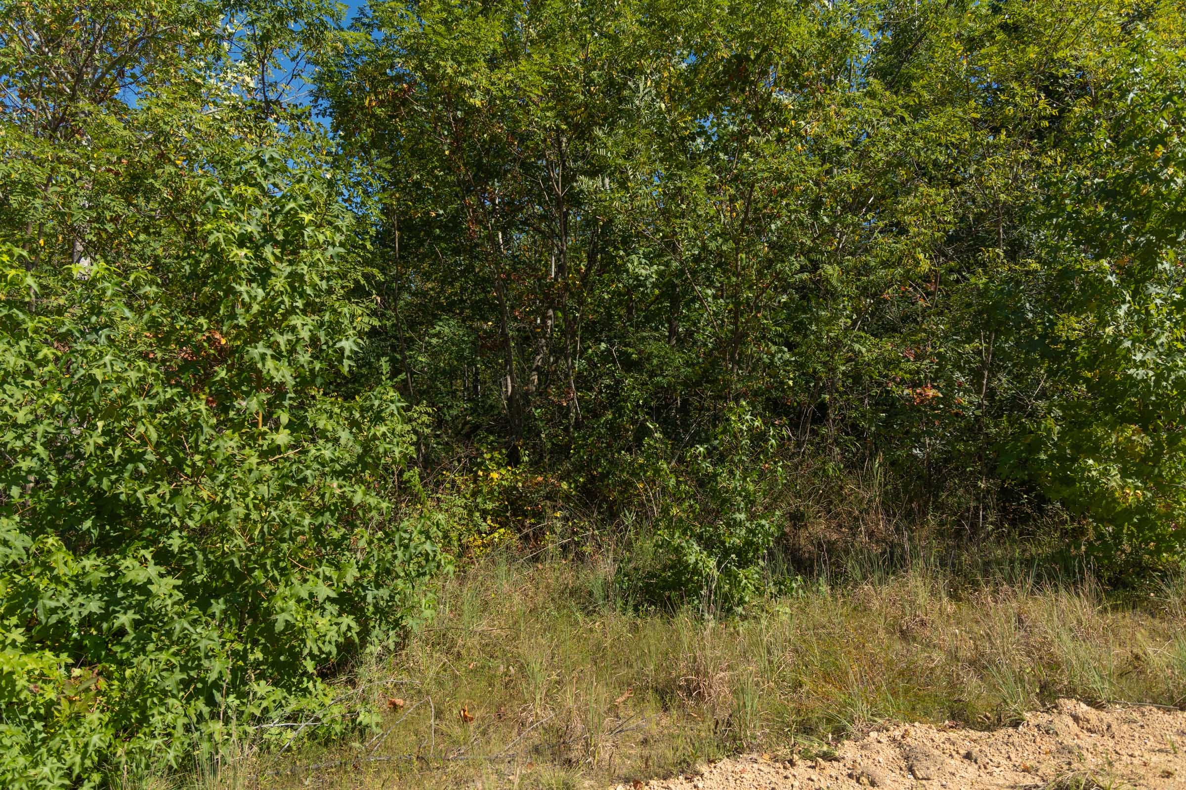Tract 103 at Big White Oak in Perry County, Tennessee
