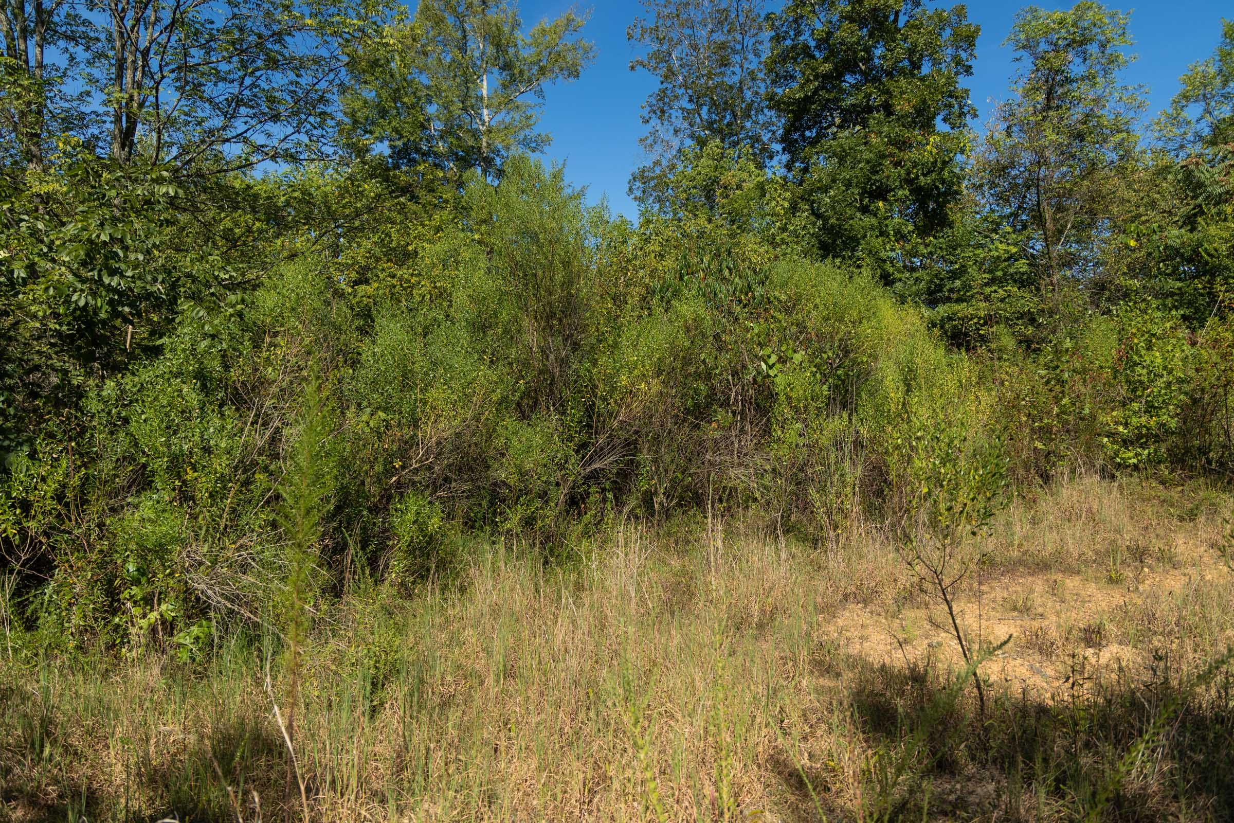 Tract 105 at Big White Oak in Perry County, Tennessee