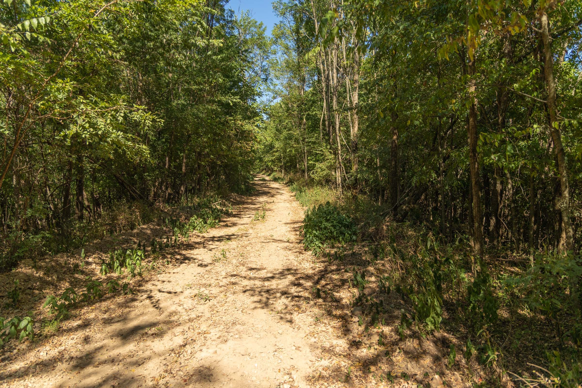 Tract 111 at Big White Oak in Perry County, Tennessee