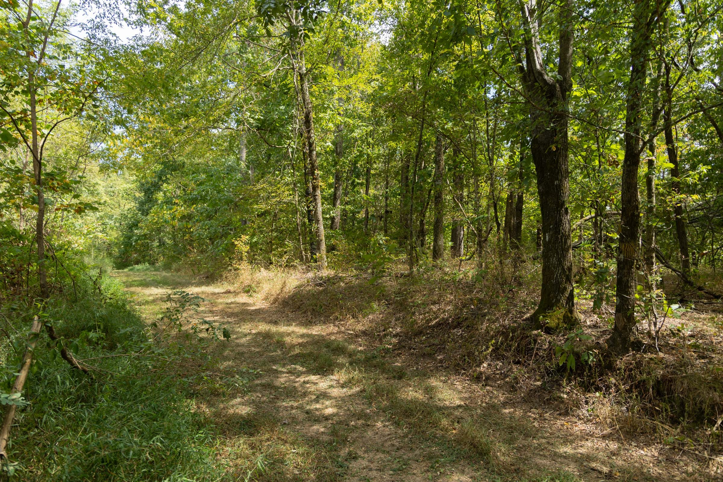Tract 117 at Big White Oak in Perry County, Tennessee
