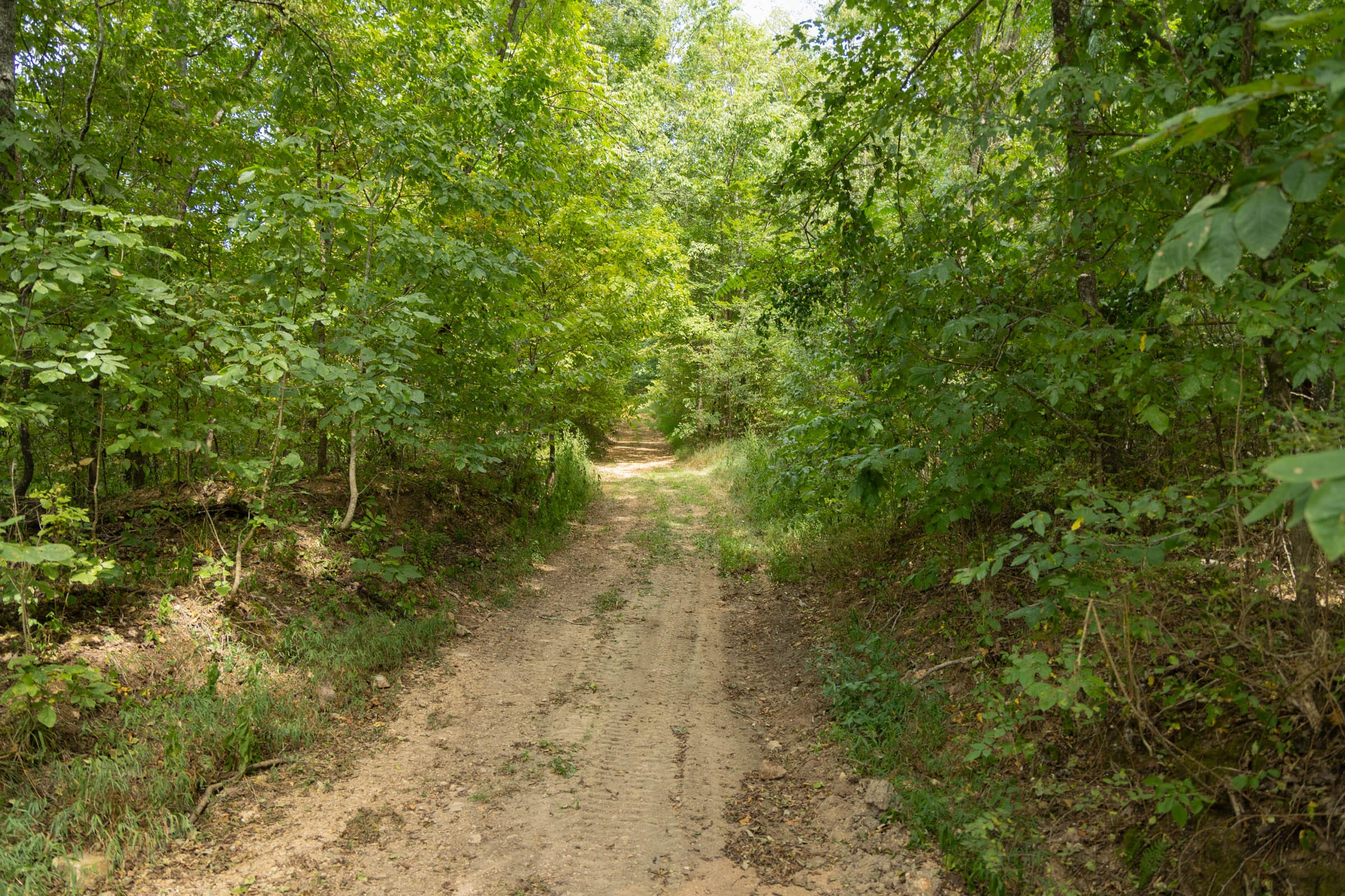 BWO-T120 tract image