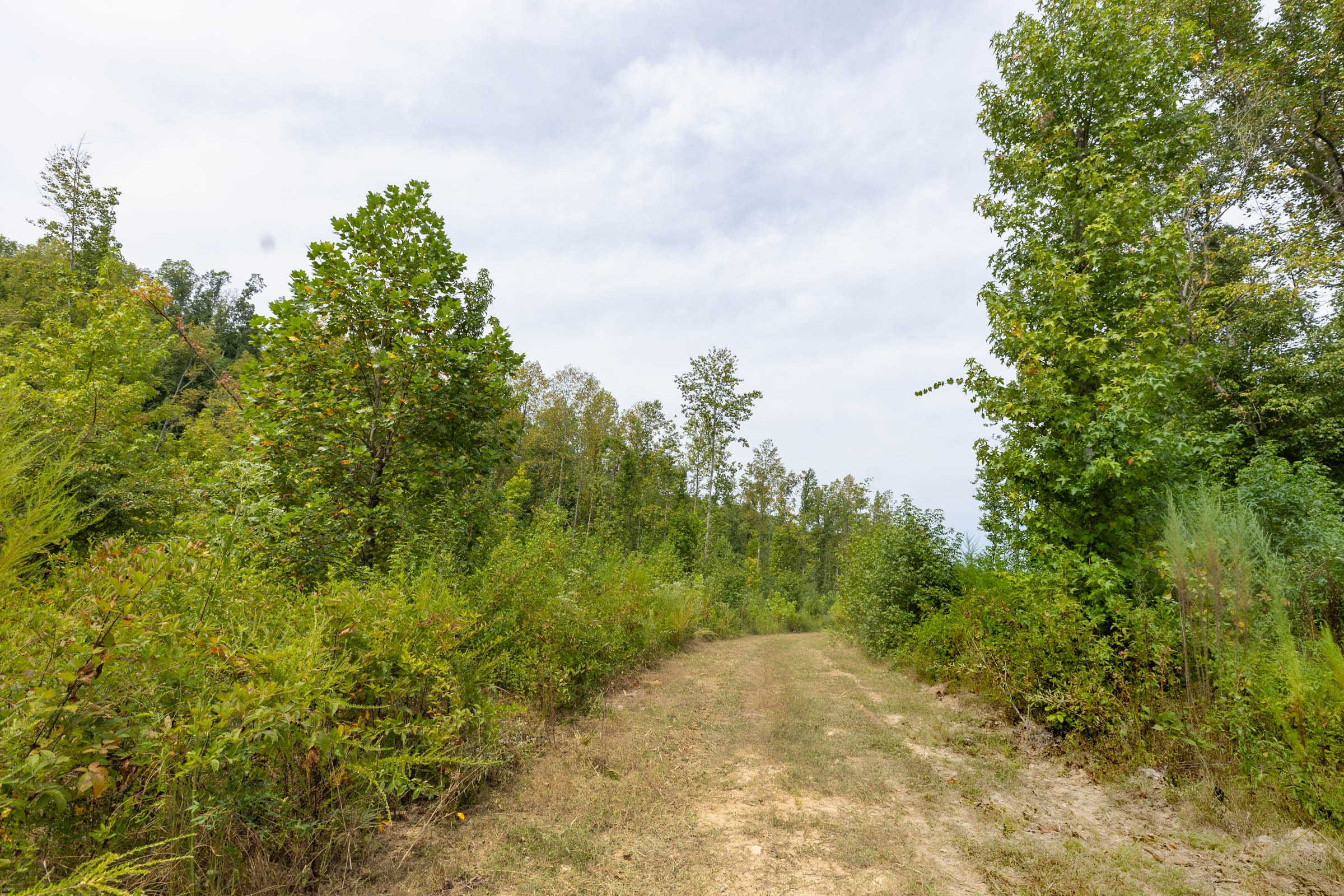 Tract 126 at Big White Oak in Perry County, Tennessee