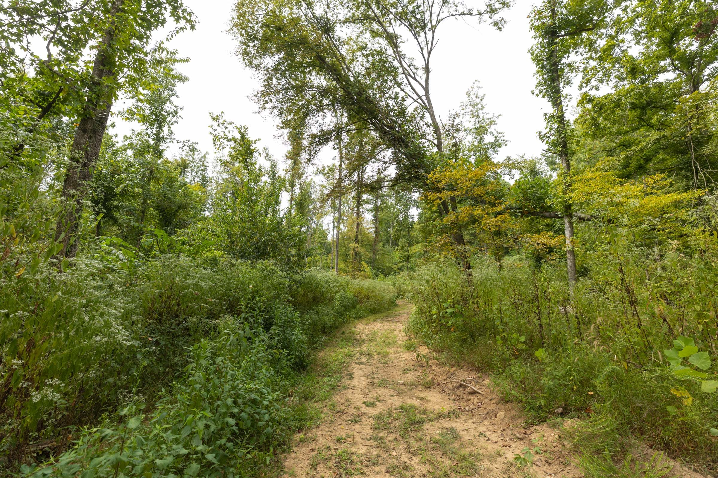 Tract 129 at Big White Oak in Perry County, Tennessee