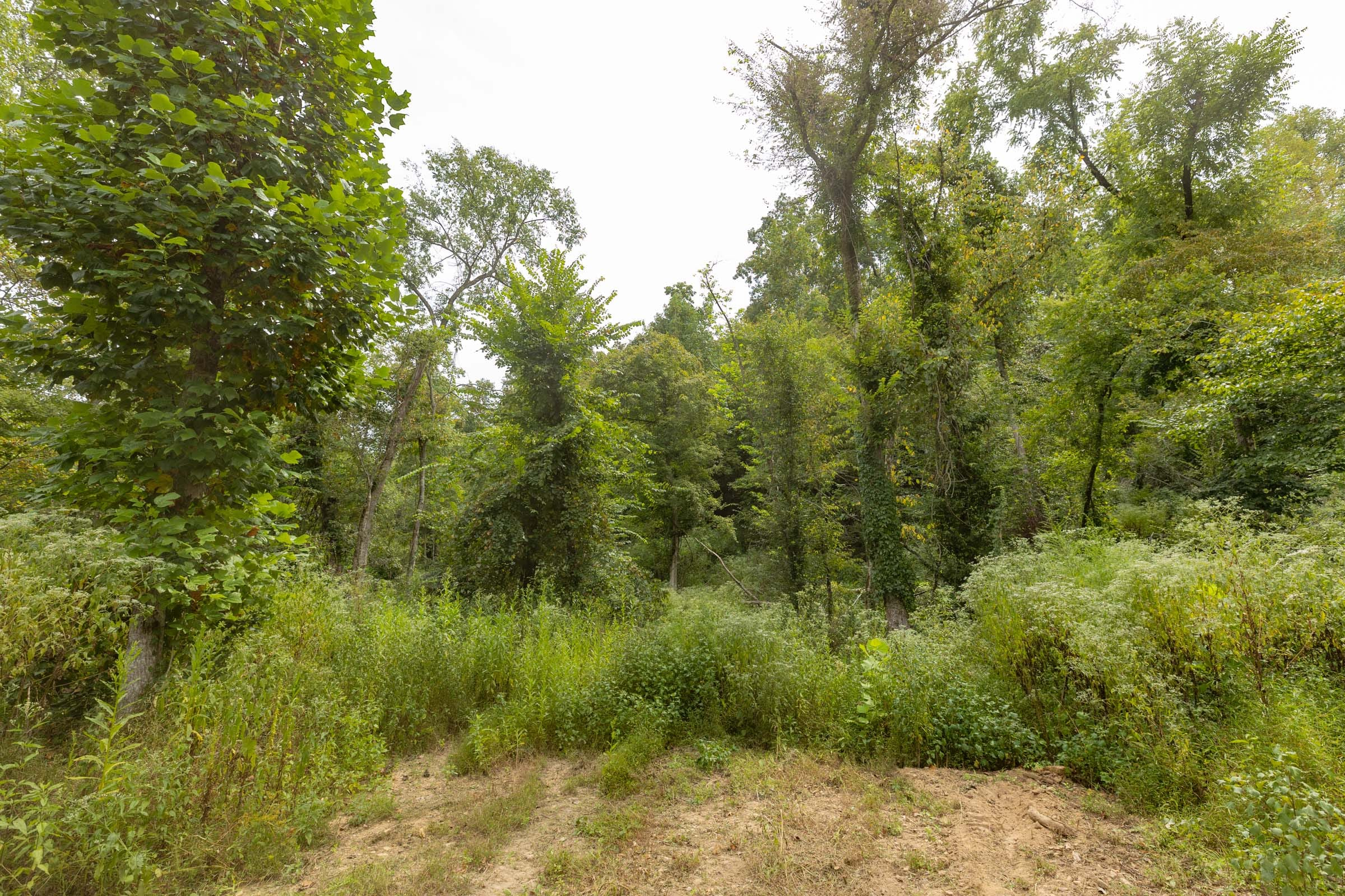 BWO-T129 tract image
