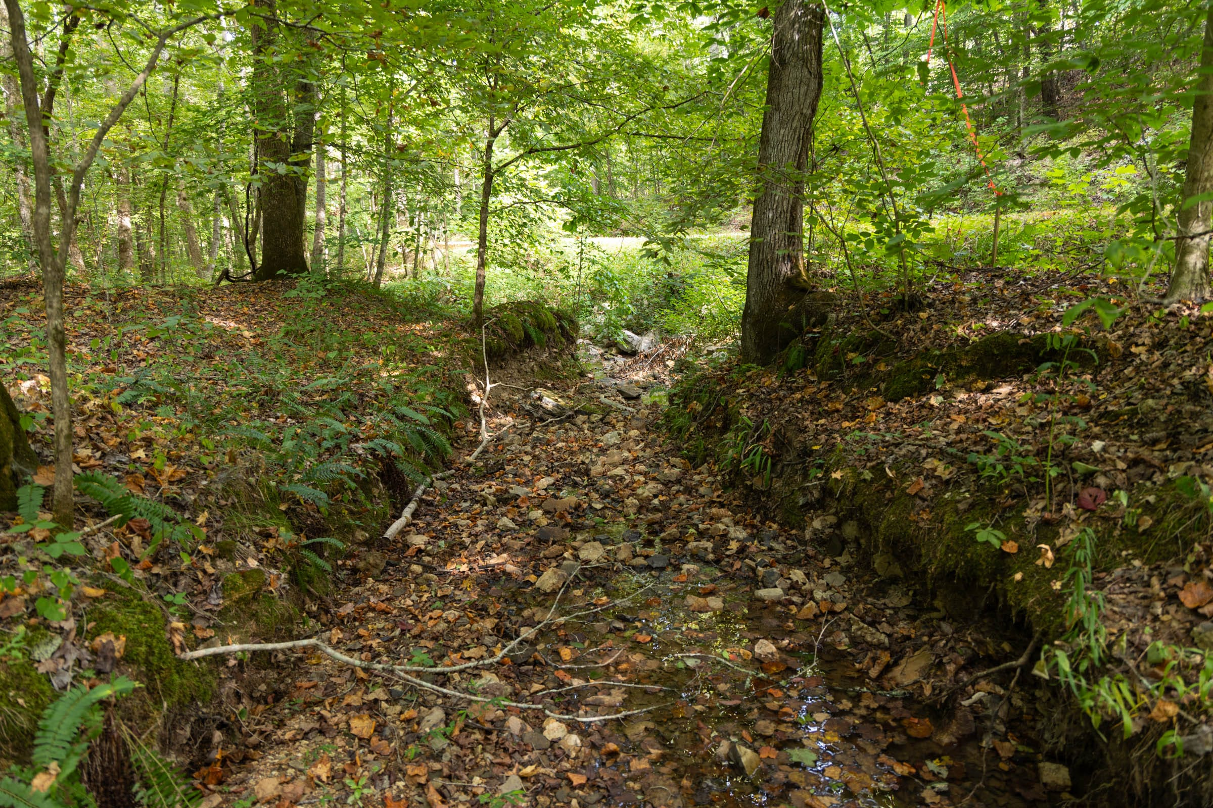 Tract 137 at Big White Oak in Perry County, Tennessee