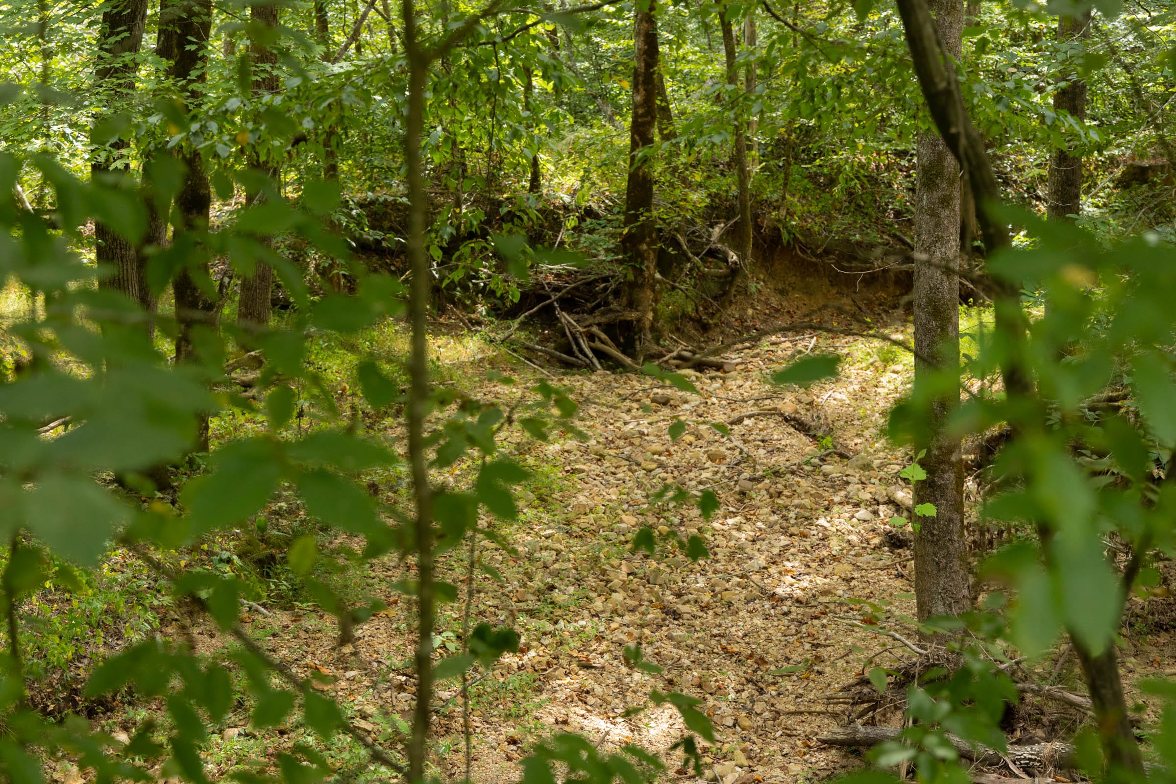 Tract 139 at Big White Oak in Perry County, Tennessee