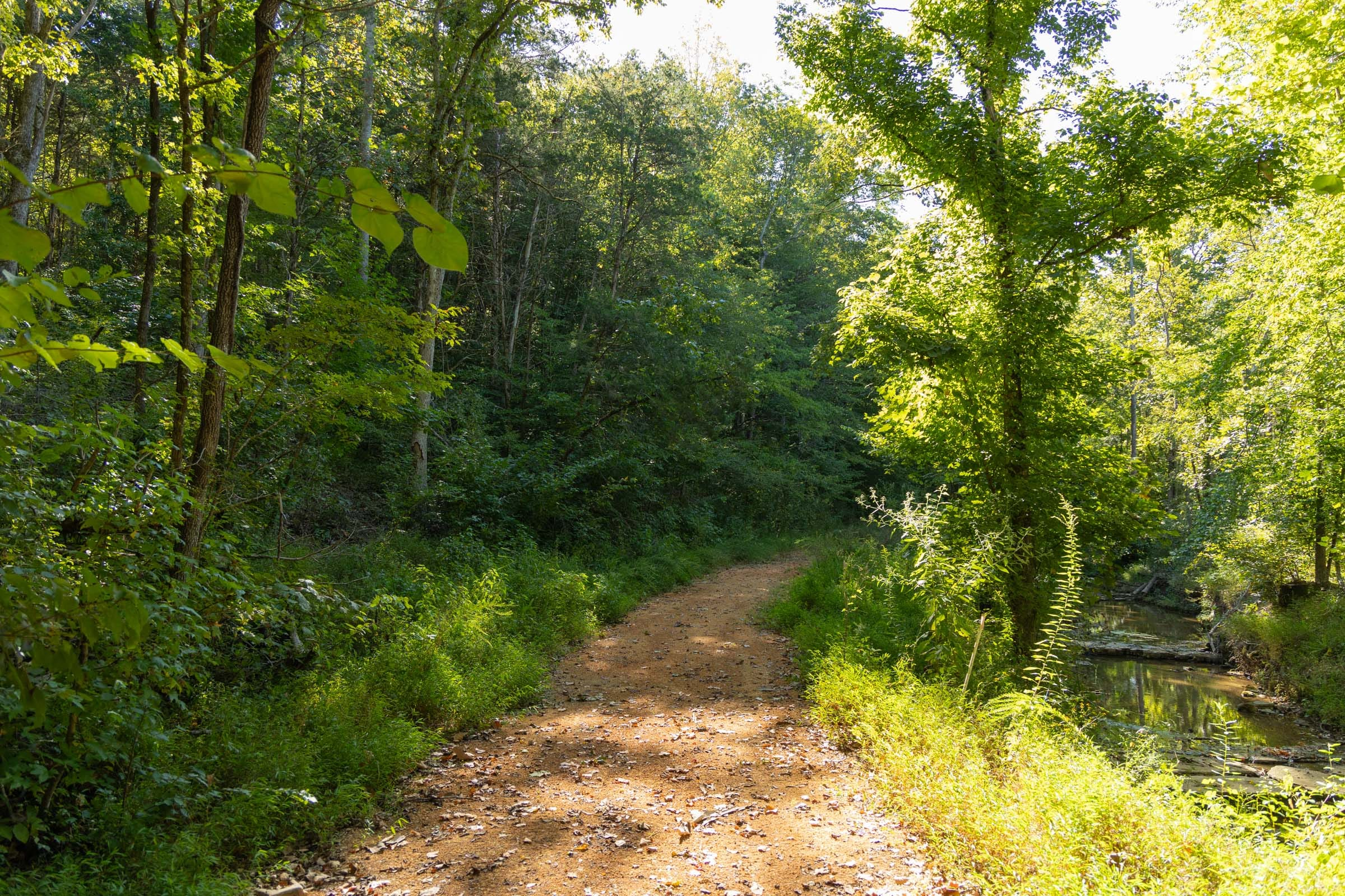 Tract 145 at Big White Oak in Perry County, Tennessee