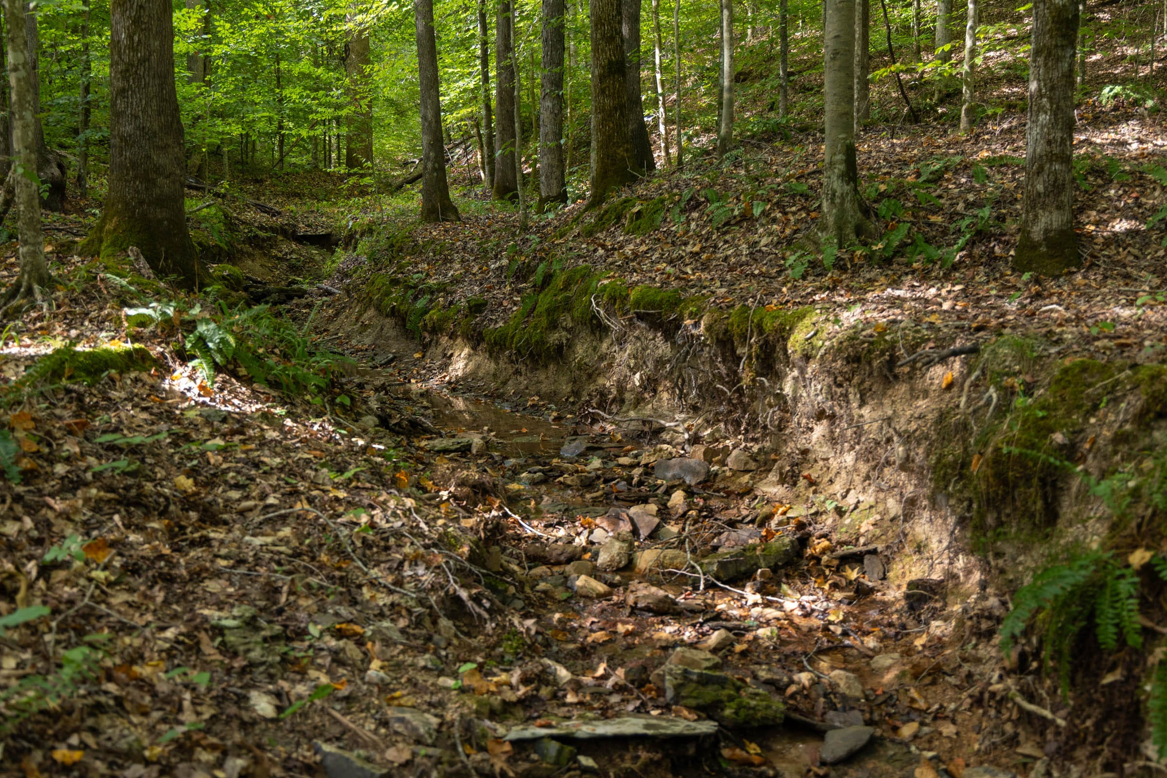 Tract 18 at Big White Oak in Perry County, Tennessee