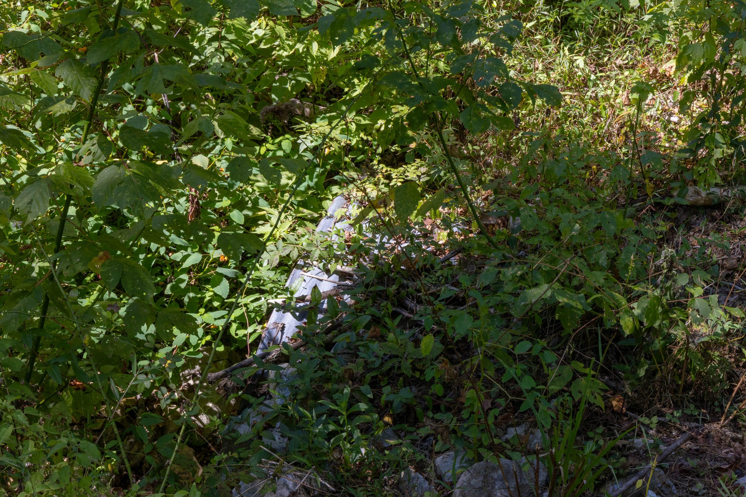 Tract 20 at Big White Oak in Perry County, Tennessee