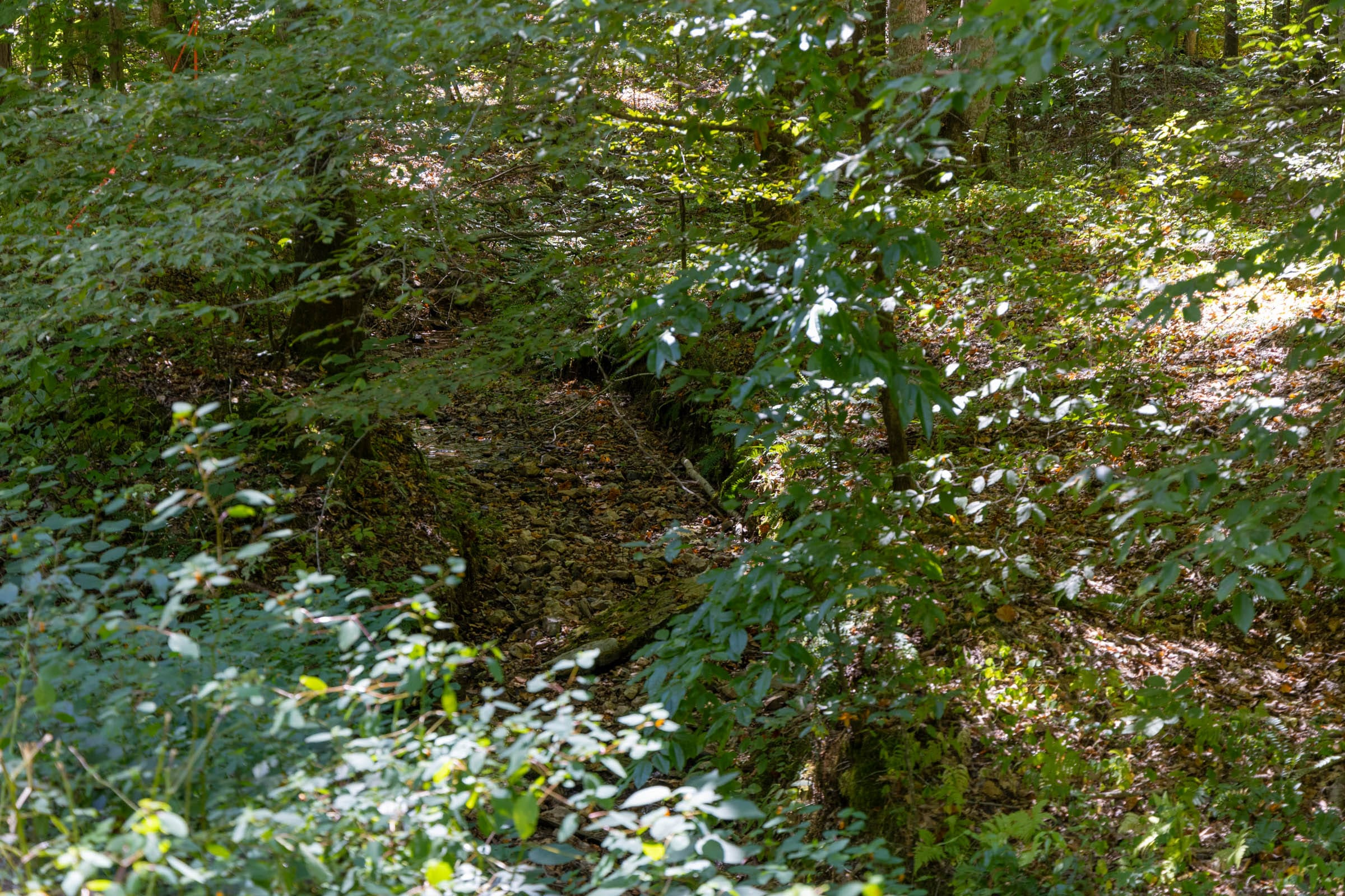 Tract 23 at Big White Oak in Perry County, Tennessee
