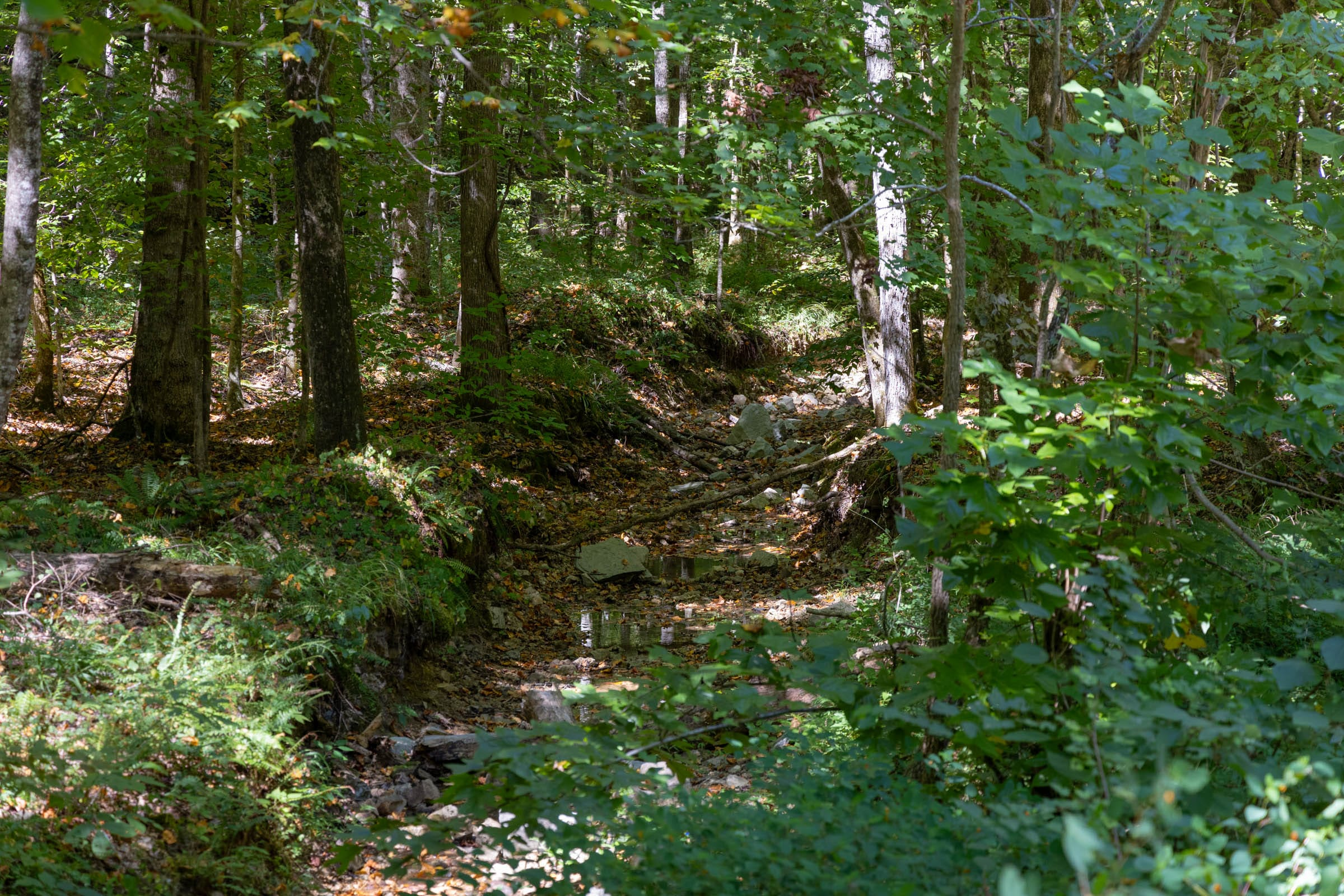 BWO-T23 tract image