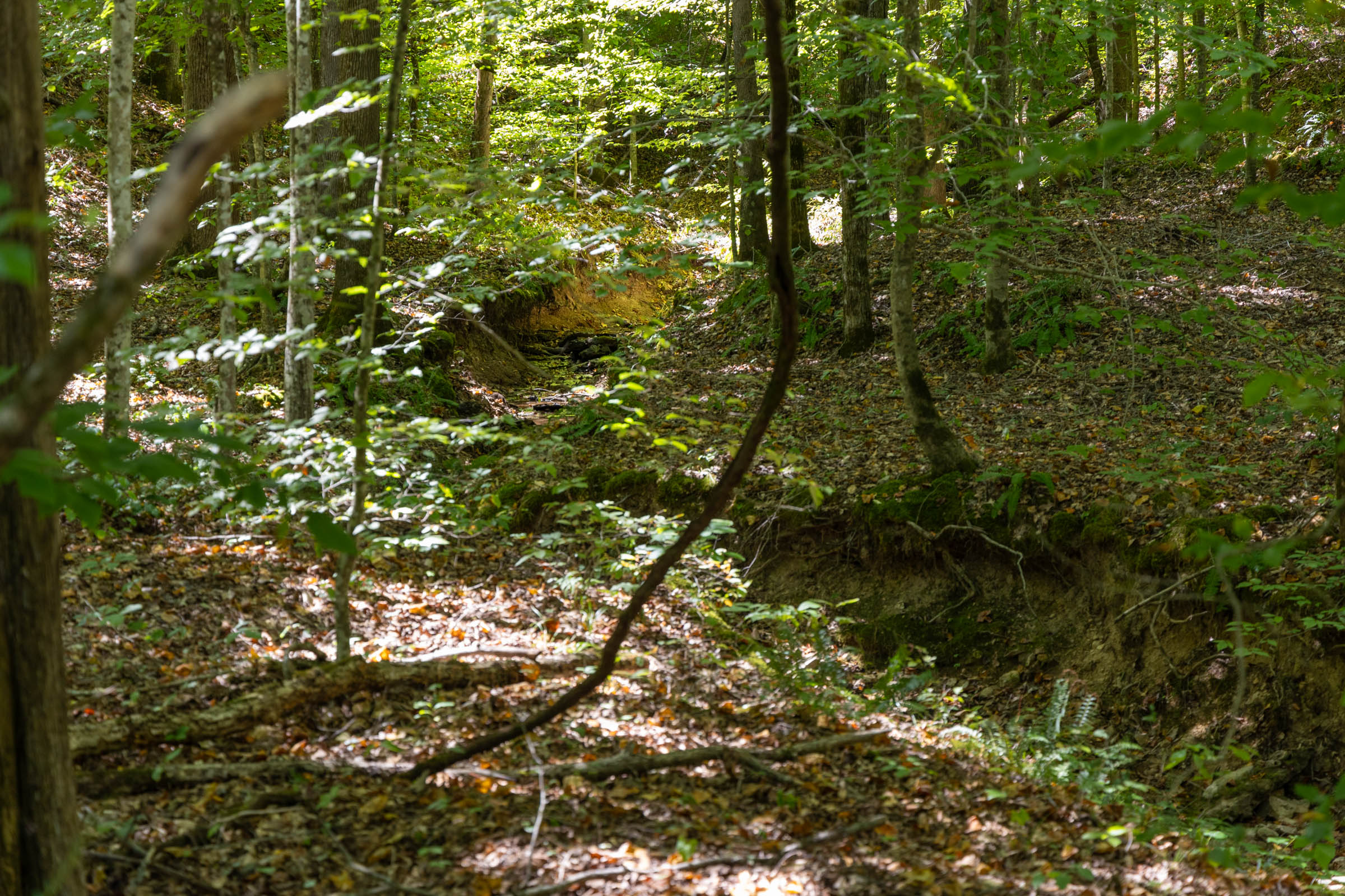 Tract 24 at Big White Oak in Perry County, Tennessee