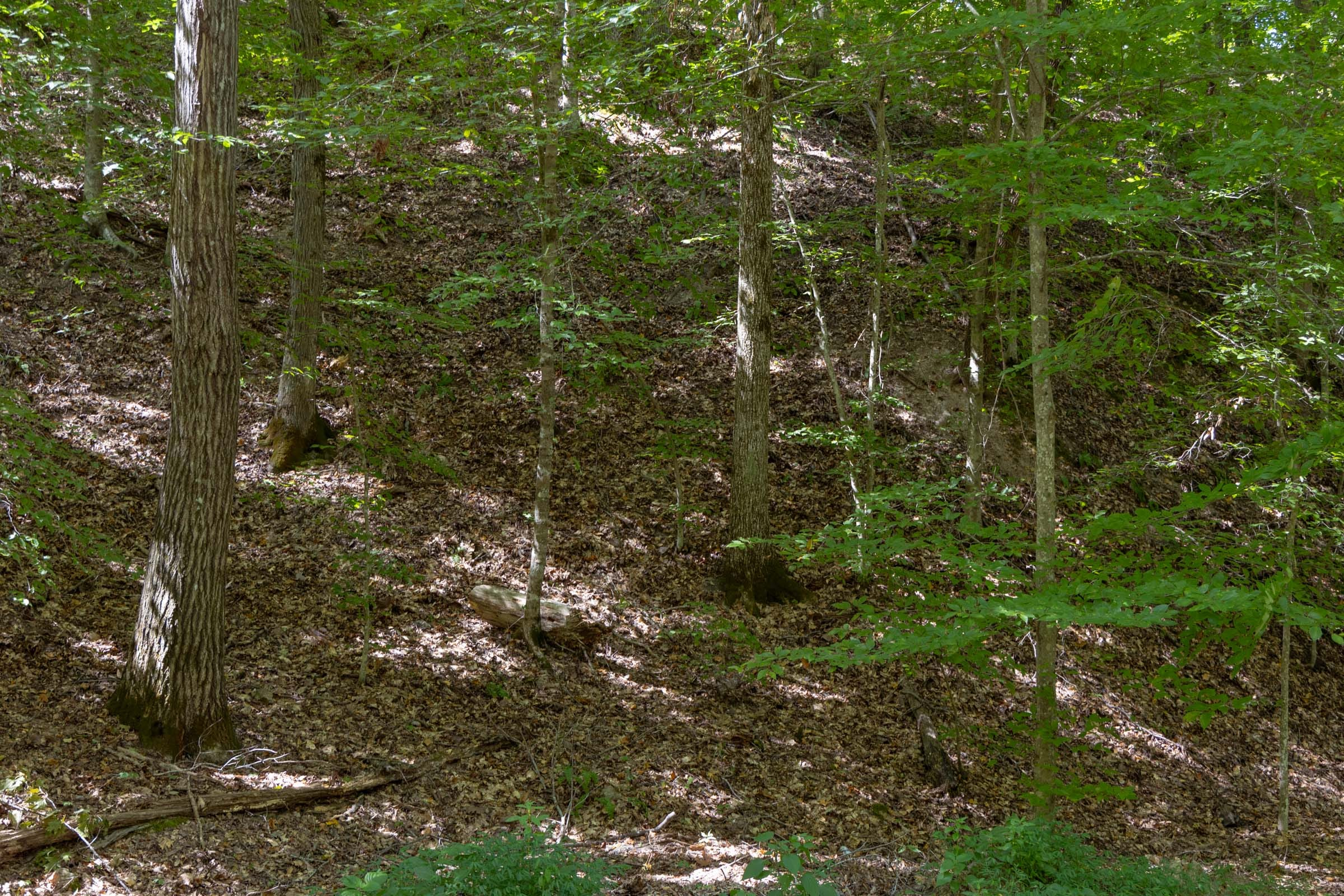 Tract 25 at Big White Oak in Perry County, Tennessee