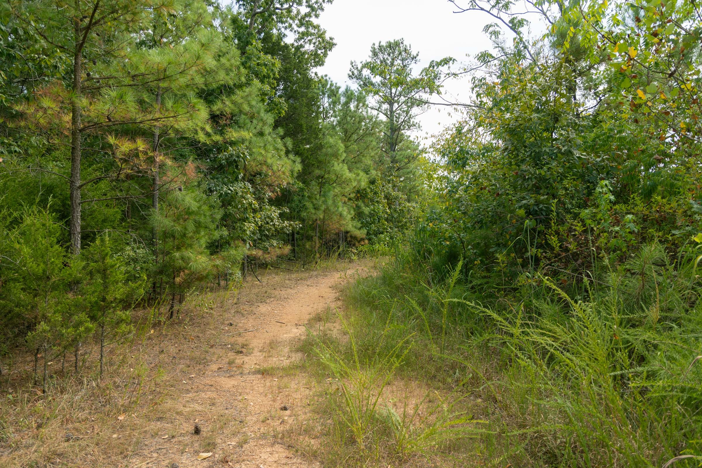 Tract 34 at Big White Oak in Perry County, Tennessee