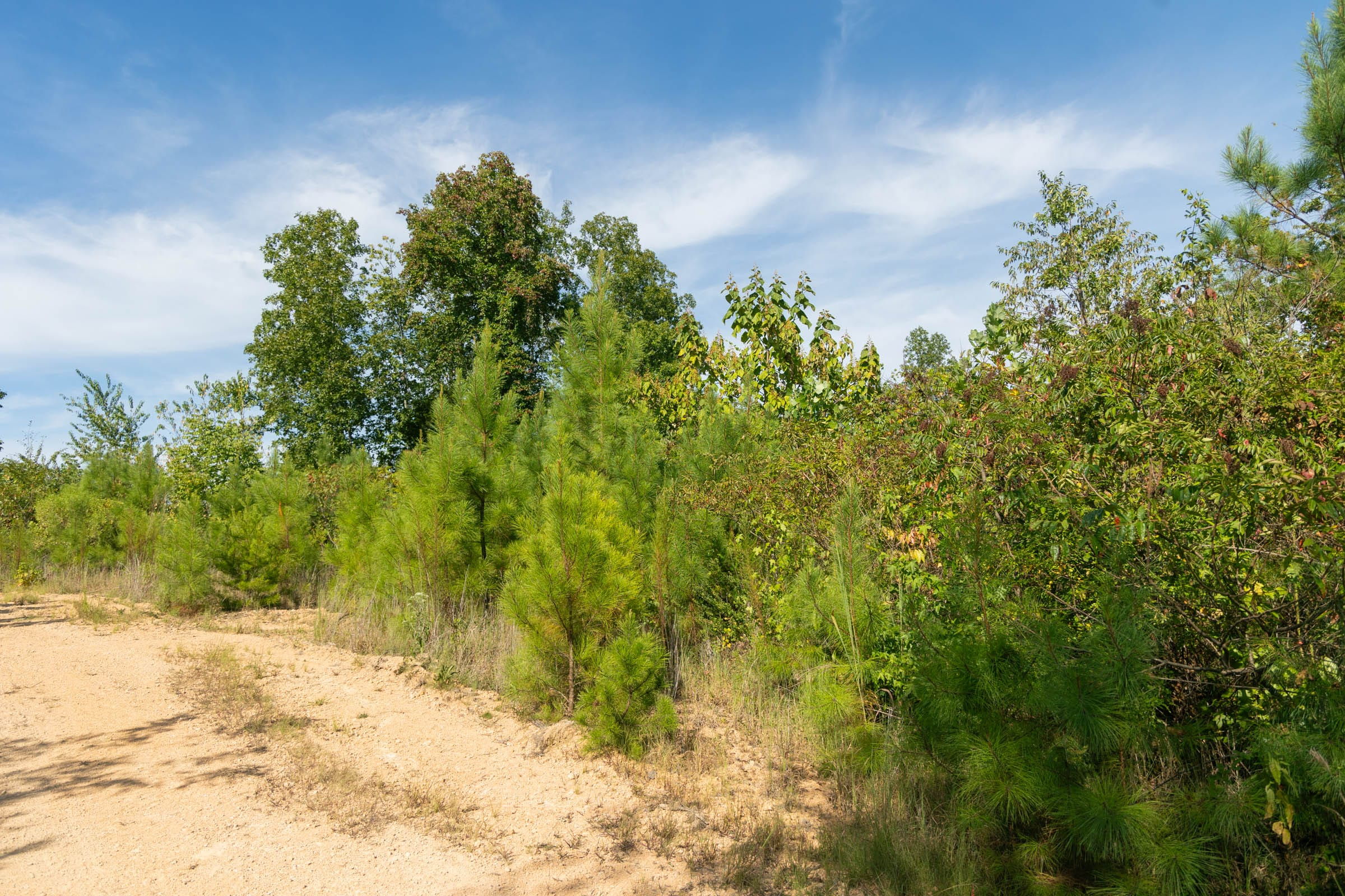 Tract 39 at Big White Oak in Perry County, Tennessee