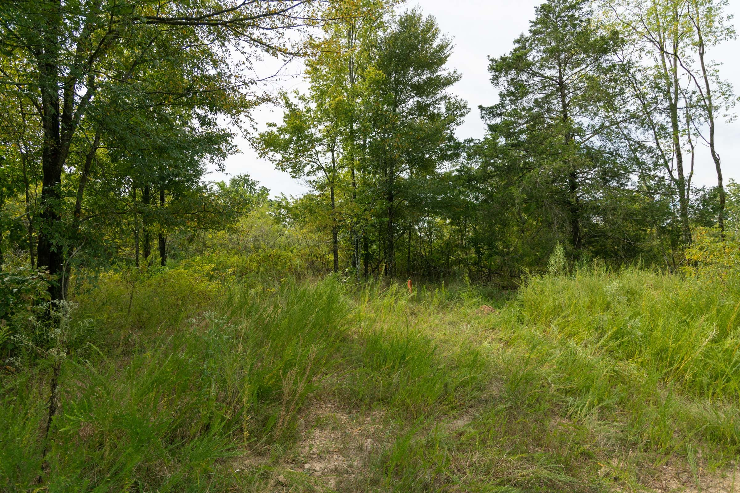 Tract 44 at Big White Oak in Perry County, Tennessee