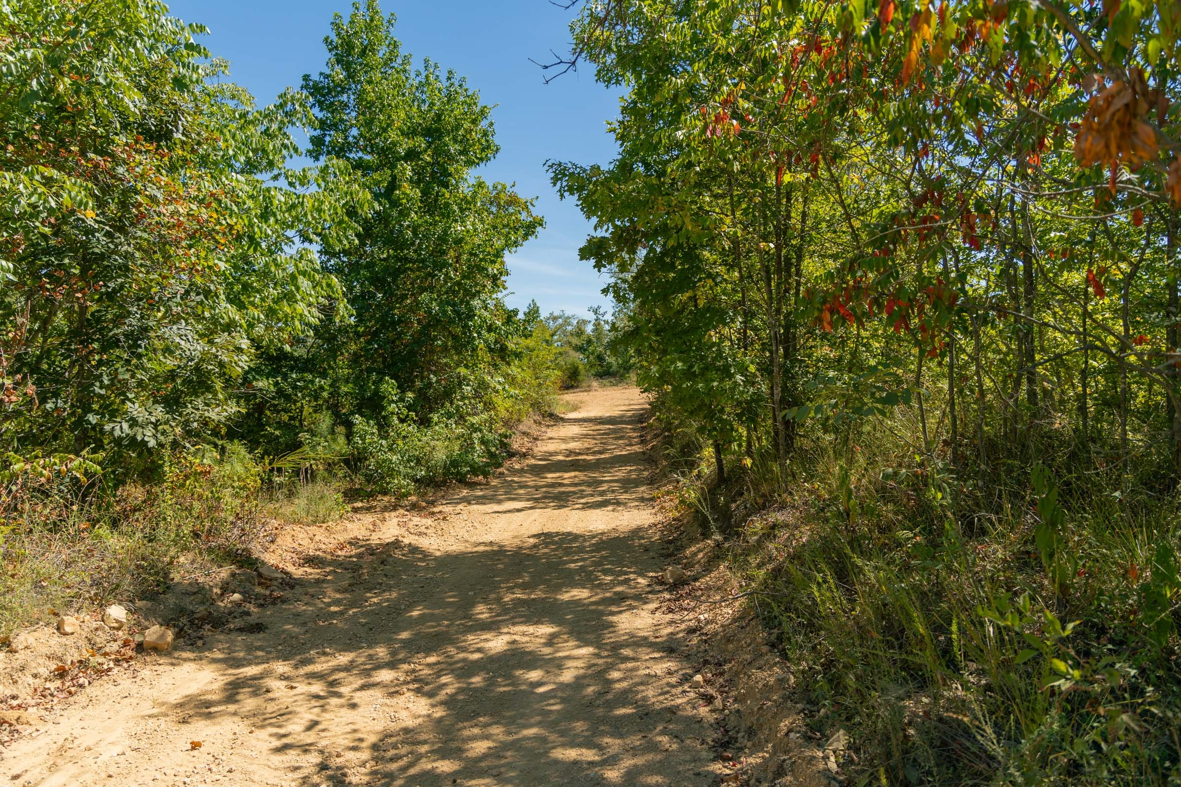 Tract 50 at Big White Oak in Perry County, Tennessee