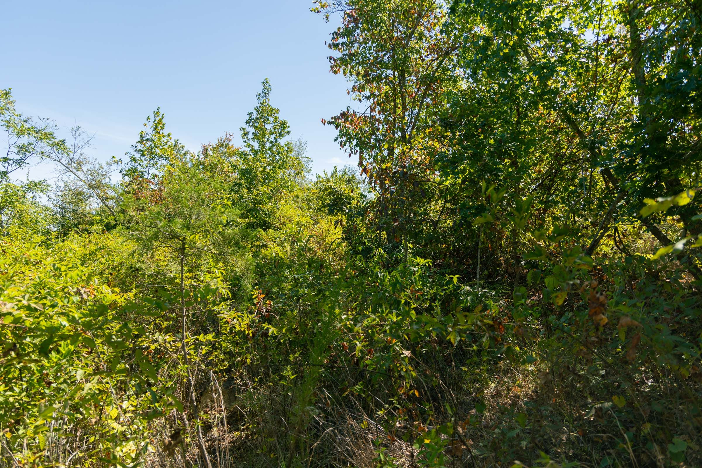Tract 53 at Big White Oak in Perry County, Tennessee