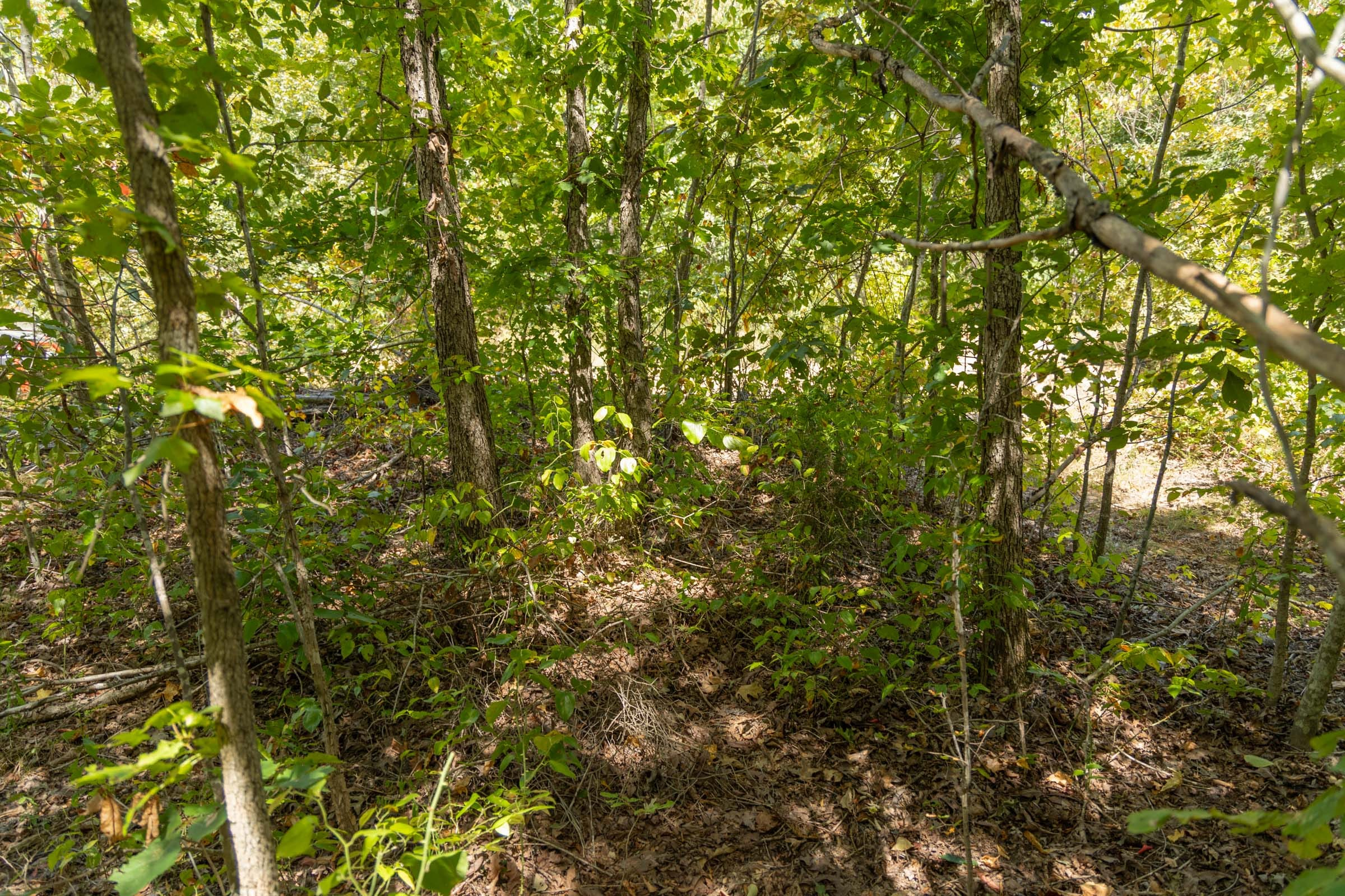 Tract 57 at Big White Oak in Perry County, Tennessee