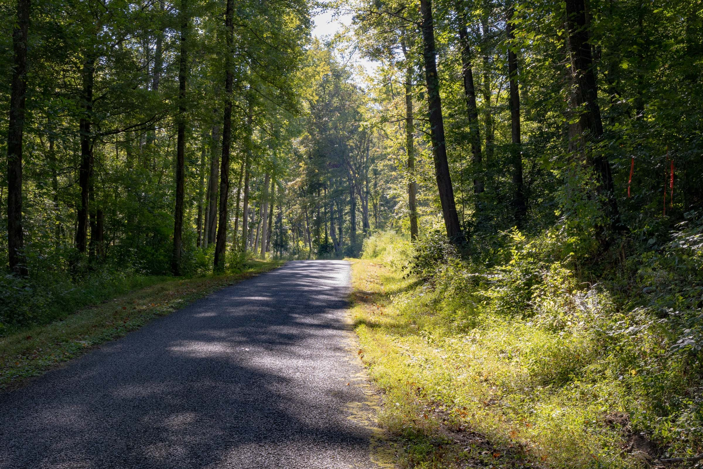 Tract 6 at Big White Oak in Perry County, Tennessee
