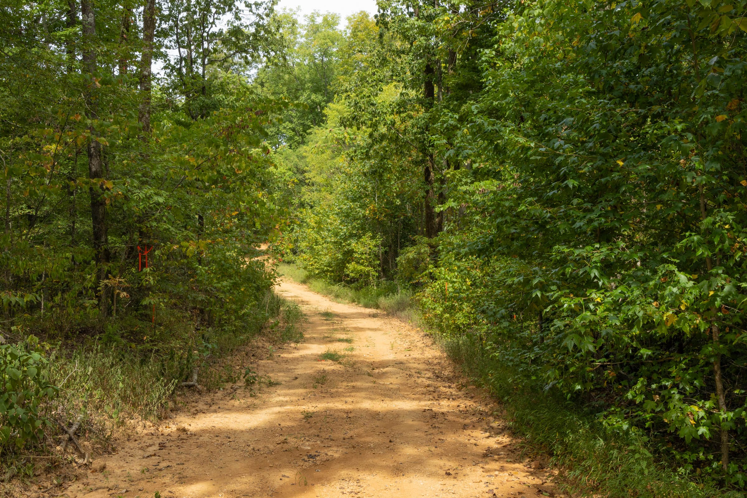 Tract 62 at Big White Oak in Perry County, Tennessee