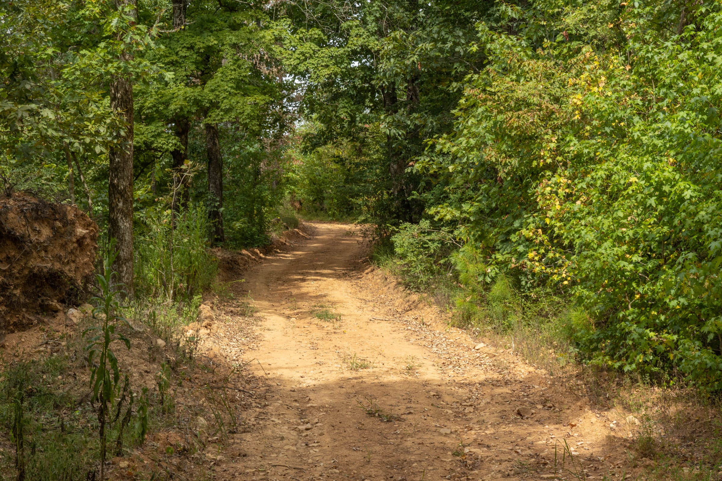Tract 63 at Big White Oak in Perry County, Tennessee