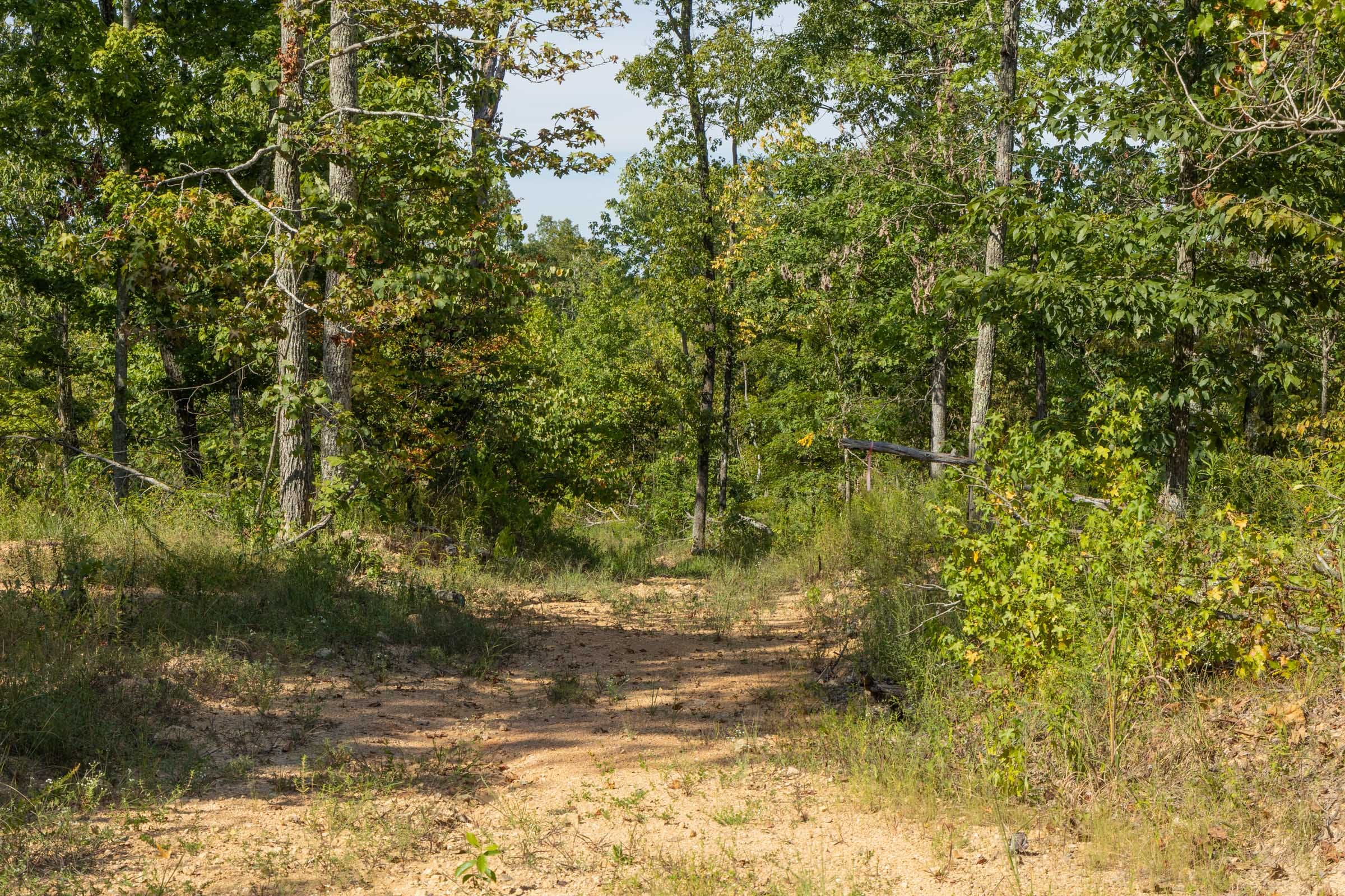 Tract 67 at Big White Oak in Perry County, Tennessee