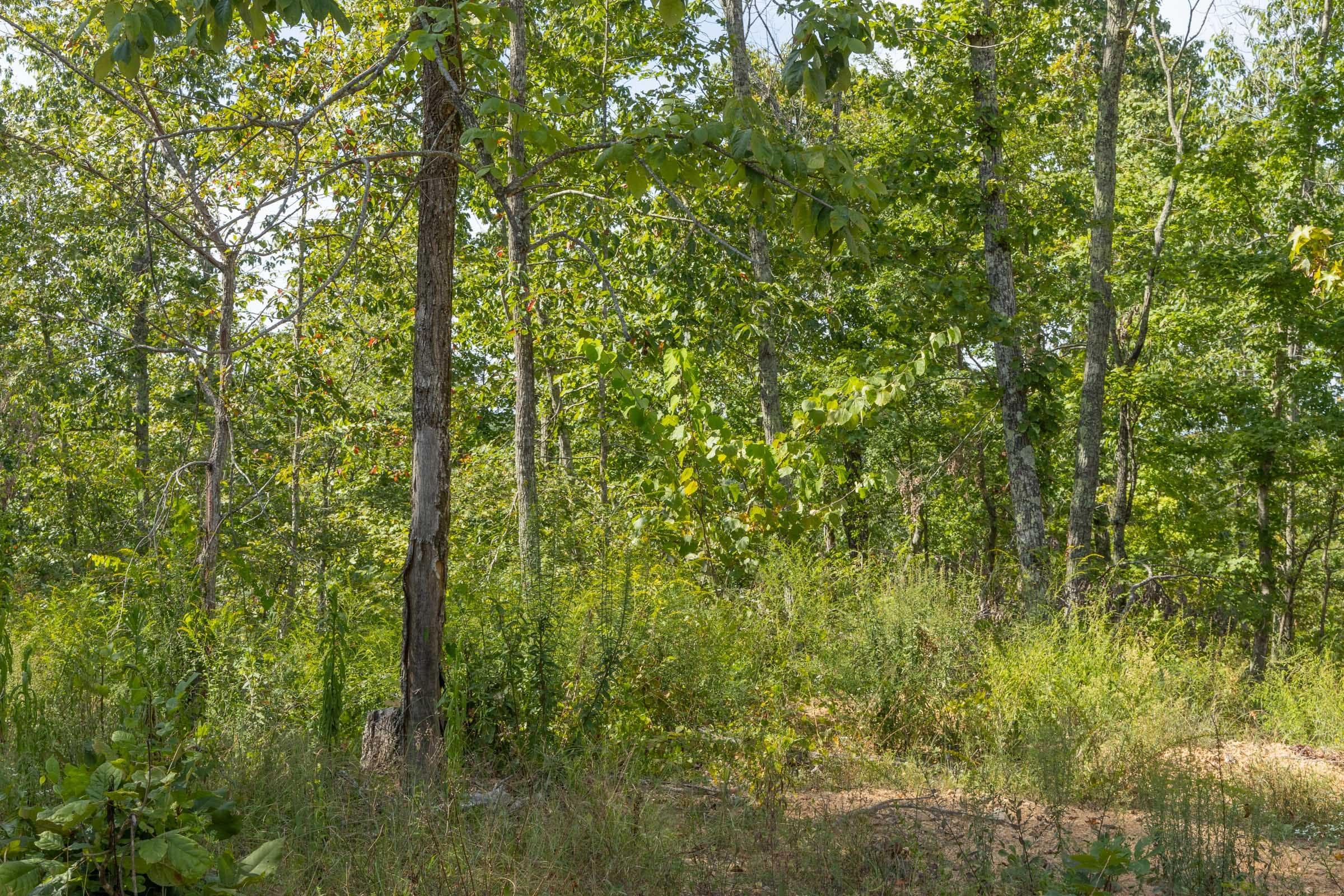 Tract 69 at Big White Oak in Perry County, Tennessee