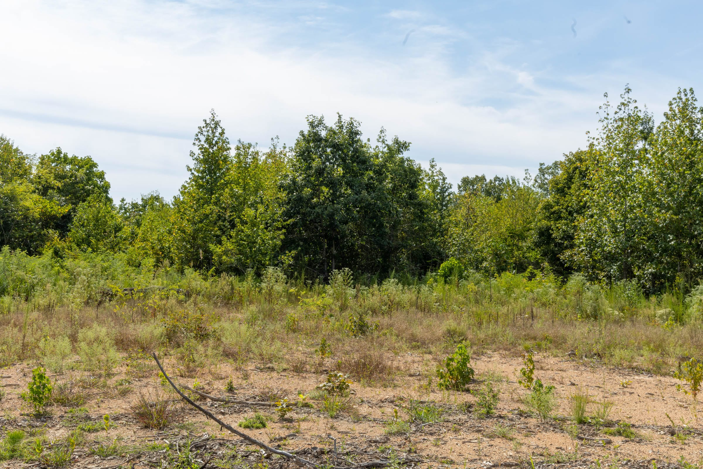 Tract 70 at Big White Oak in Perry County, Tennessee