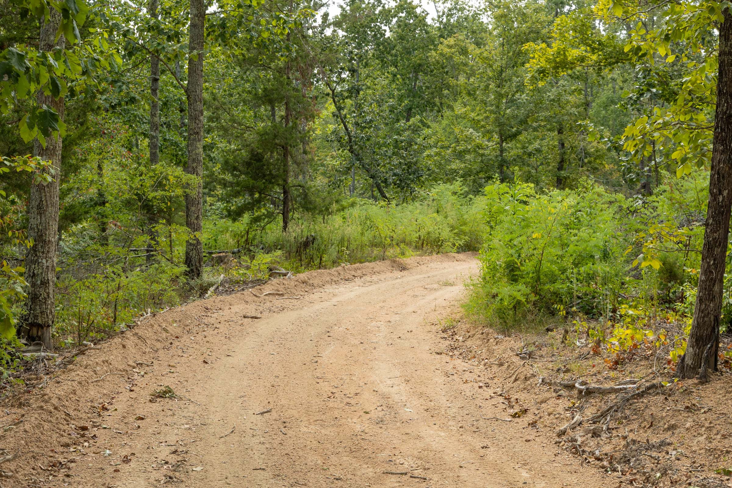 Tract 72 at Big White Oak in Perry County, Tennessee