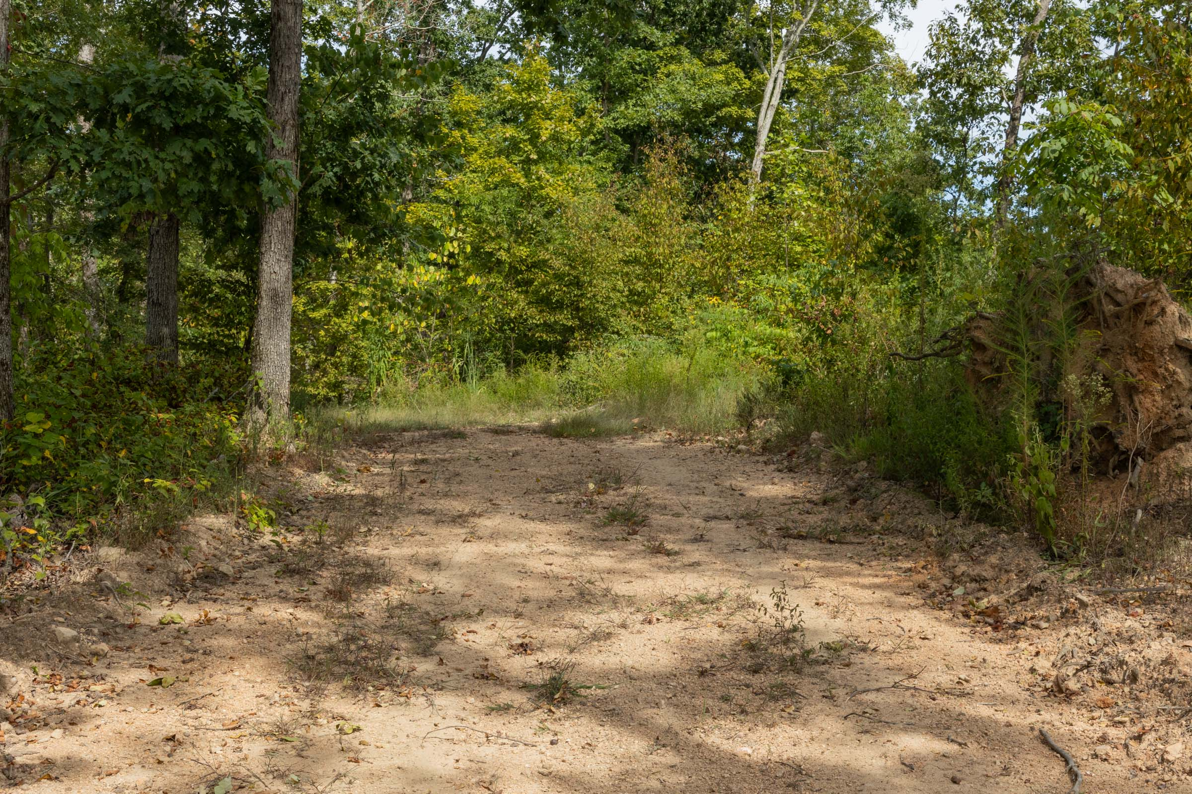 Tract 74 at Big White Oak in Perry County, Tennessee