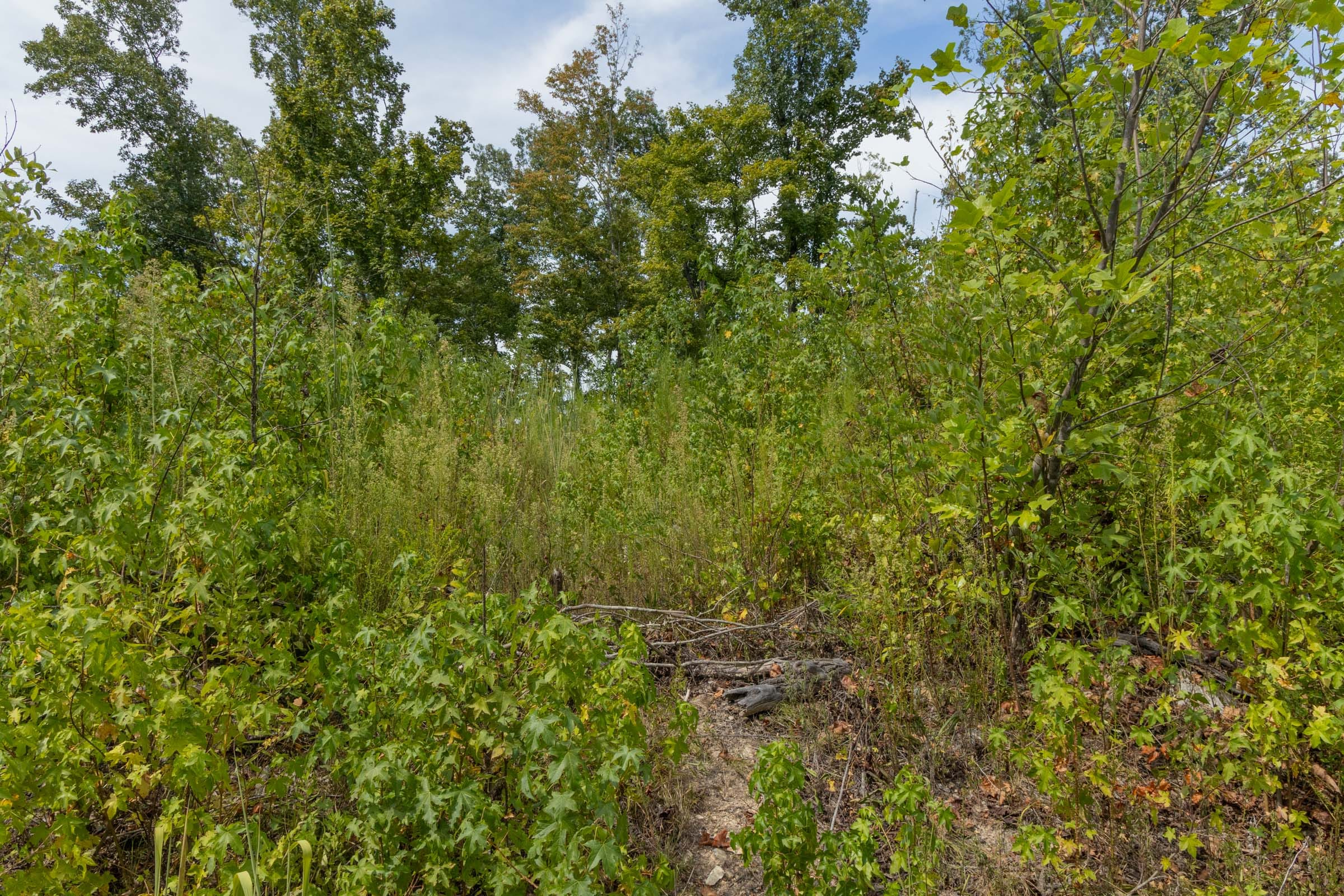 Tract 77 at Big White Oak in Perry County, Tennessee