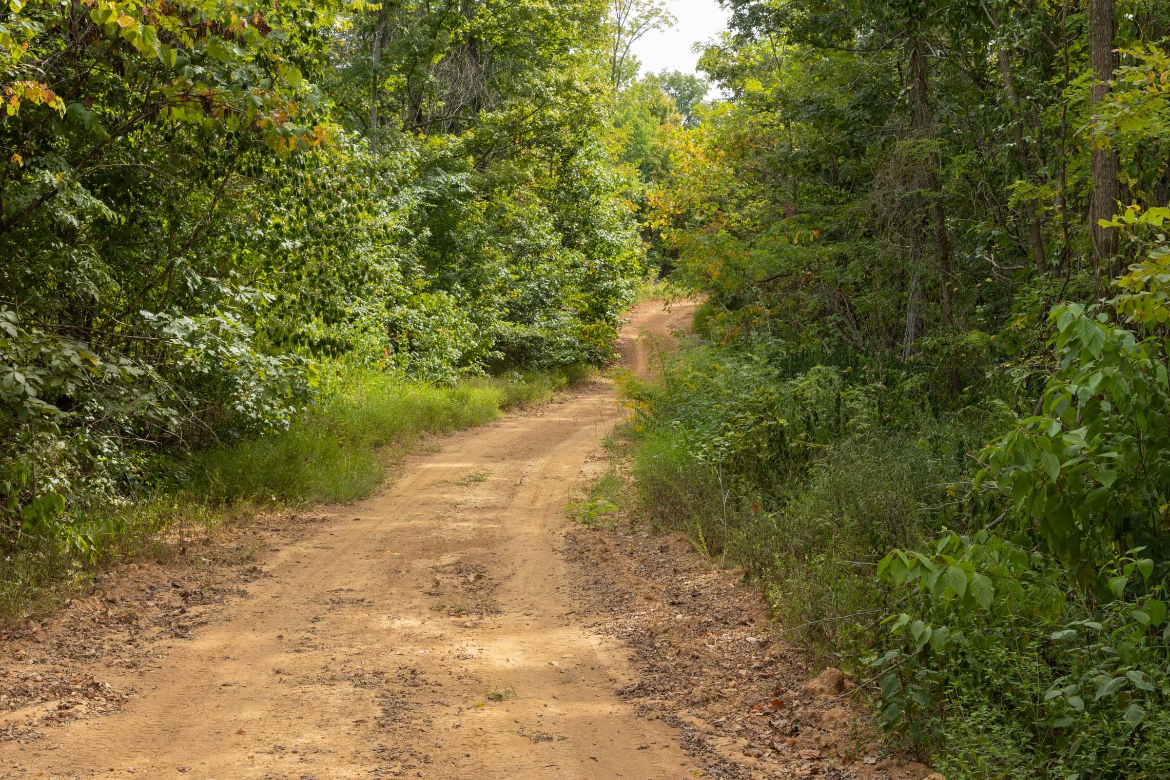 Tract 8 at Big White Oak in Perry County, Tennessee