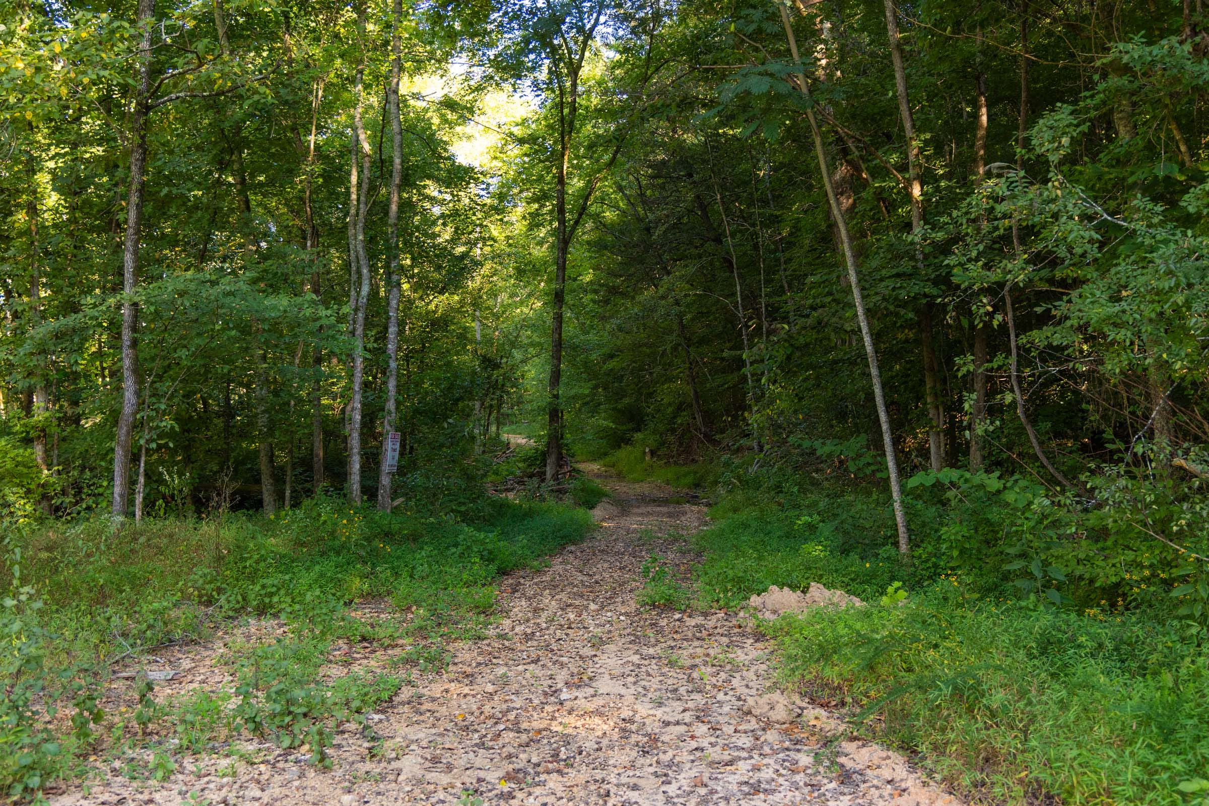 Tract 82 at Big White Oak in Perry County, Tennessee