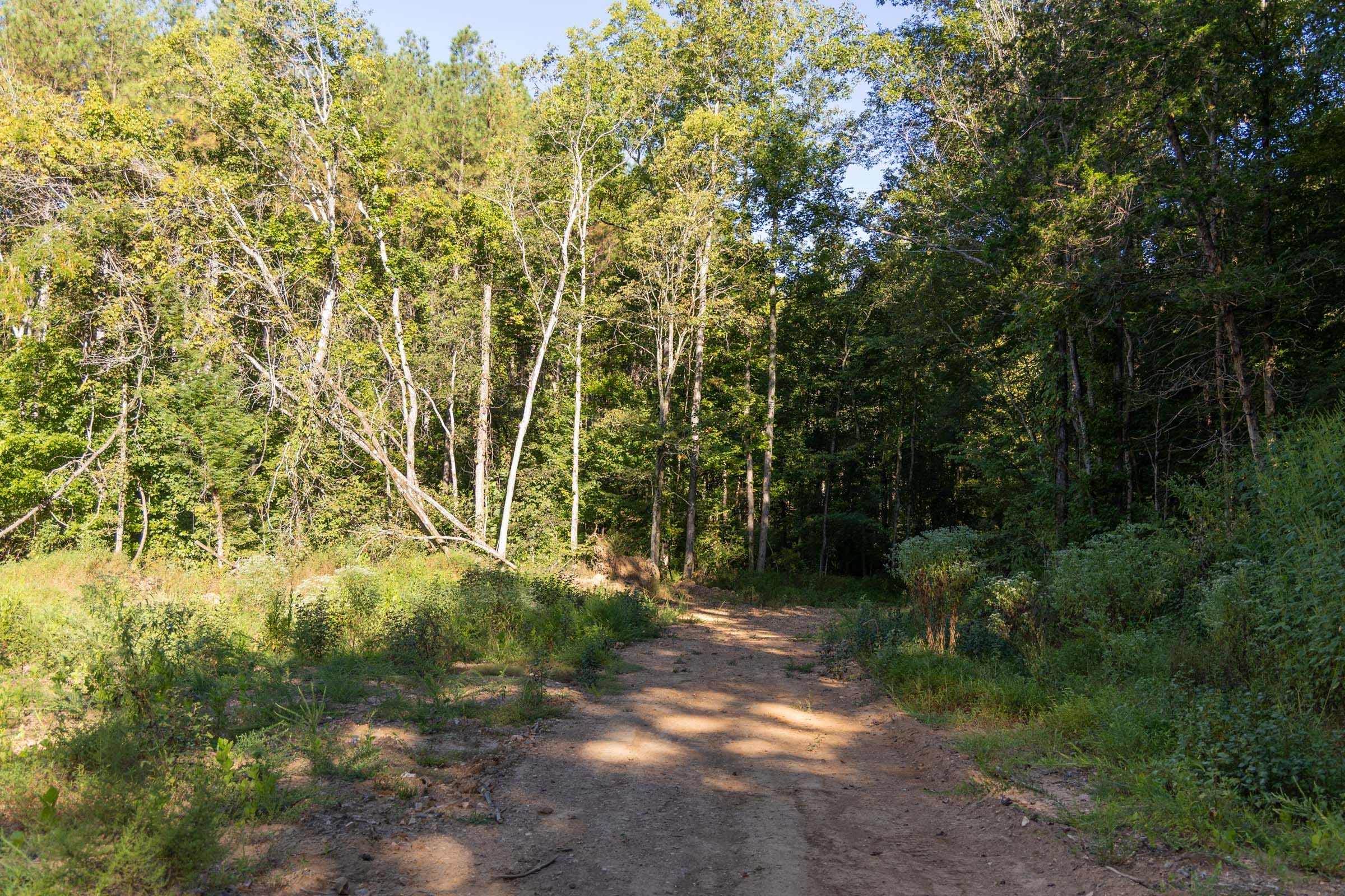 Tract 83 at Big White Oak in Perry County, Tennessee