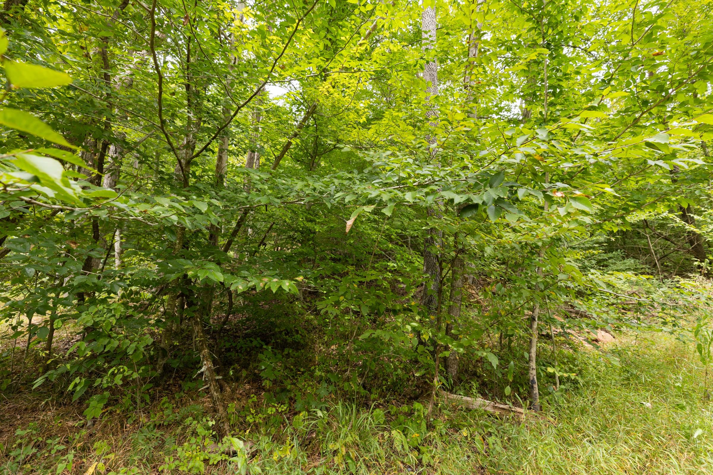 Tract 93 at Big White Oak in Perry County, Tennessee