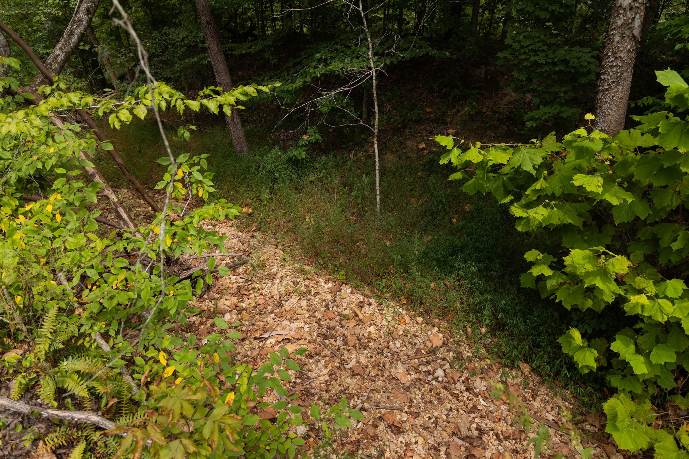 Tract 95 at Big White Oak in Perry County, Tennessee