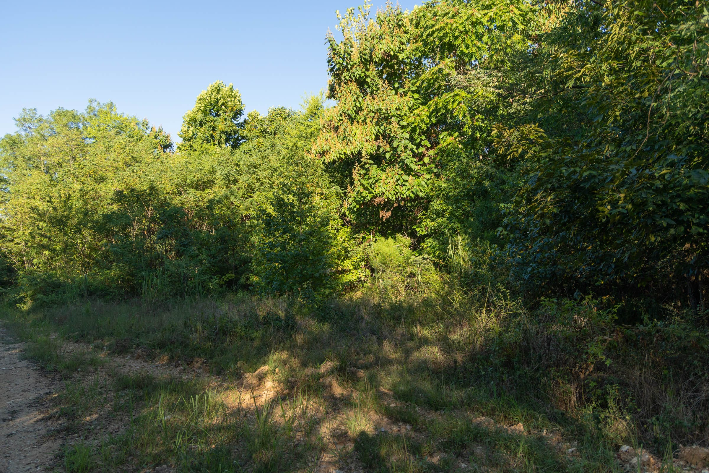 Tract 99 at Big White Oak in Perry County, Tennessee
